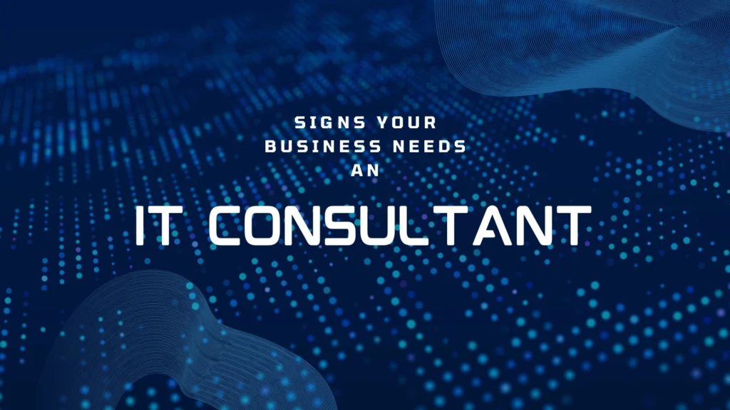 IT consultant