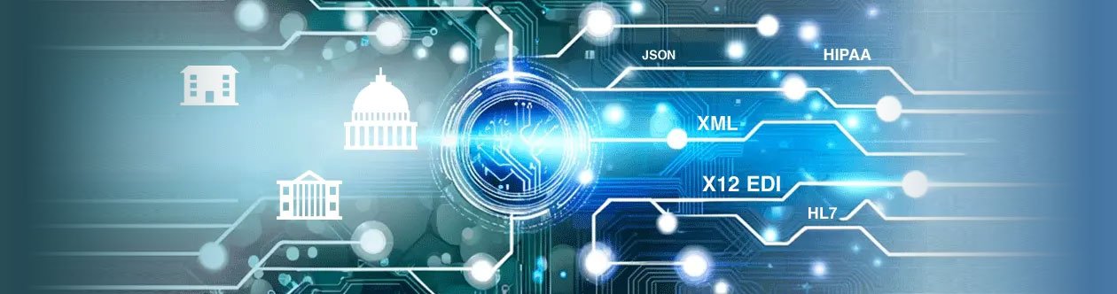 Weak Government IT Systems