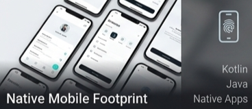 Mobile Development